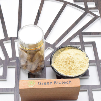 Free Sample Panax Ginseng Ginsenosides 30% Red Panax Ginseng Powder