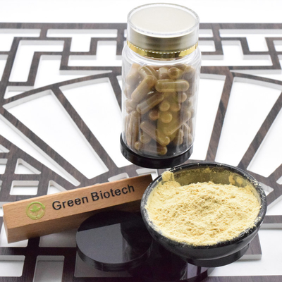 Free Sample Organic Ginkgo Biloba Capsule Extract Liquid Ginkgo Biloba Ginseng