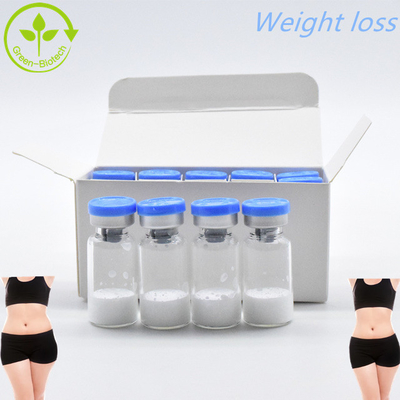 CAS 910463-68-2 Semaglutide For Weight Loss 10mg/Vails In Stock