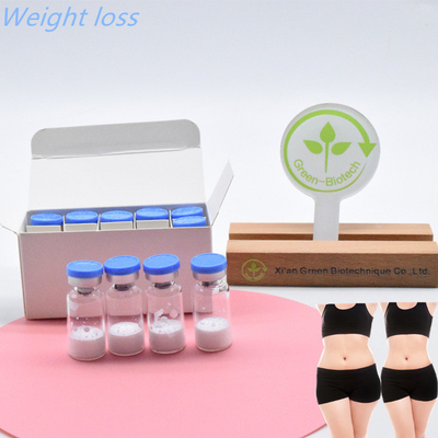 Top Quality Injection Grade  Semaglutide For Body Building