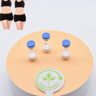 Selling Top Quality Factory Supply Pure White  Semaglutide