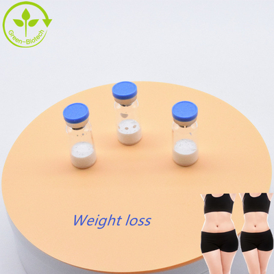 Top Quality CAS 910463-68-2 White  Semaglutide For Body Building