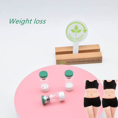 Factory Supply White  Semaglutide Vials Hot Selling In American Market