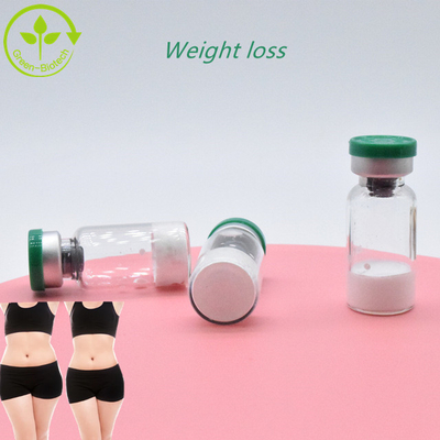 Fast Shipping GLP-1 Peptide Powder Pure White  Semaglutide