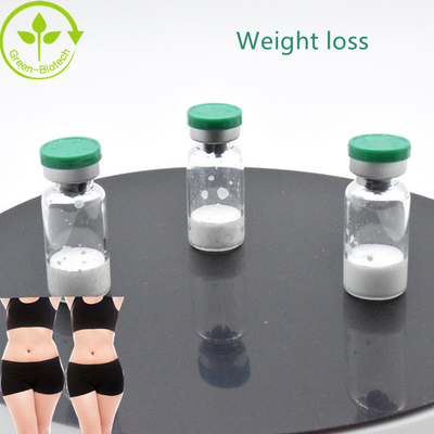 Body Building Purity 98% White  Semaglutide High Quality Free Shipping