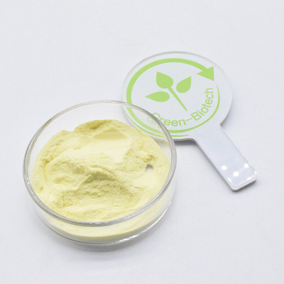 Private Label Yellow Fine Powder CO2 Kava Extract 30% For Good Price