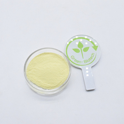 Food Grade Yellow Organic Kava Extract Powder 30% Kavalactones