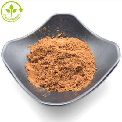 High Quality Chrysanthemum Flower Extract Powder Wild Chrysanthemum Extract