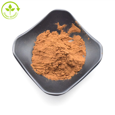 High Quality Yellow Brown Pure Wild Chrysanthemum Flower Extract 20:1