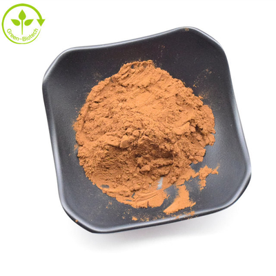 Pure Natural Golden Chrysanthemum Extract High Quality Chrysanthemum Flower Extract