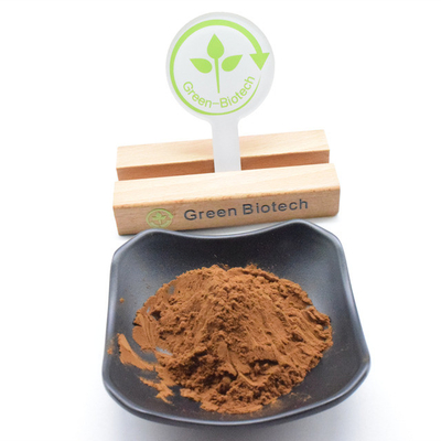 Top Quality Natural Bulk Brown Chrysanthemum Flower Extract 20:1