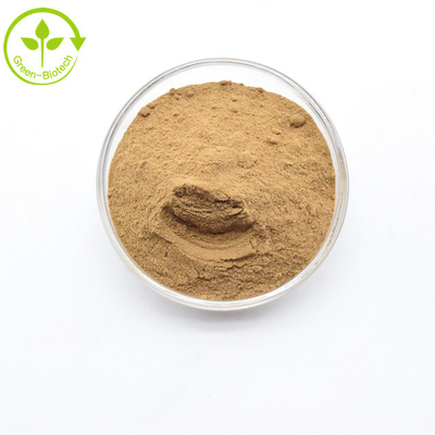 Supply Food Grade Yellow Brown Free Sample Dendrobium Extract Powder