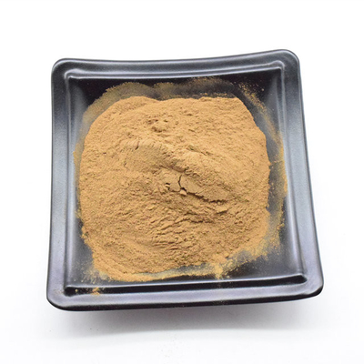 Supply Food Grade Yellow Brown Free Sample Dendrobium Extract Powder