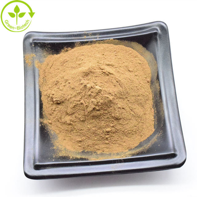 Wholesale Yellow Brown Dendrobium Nobile Extract Powder 20:1 In Bulk