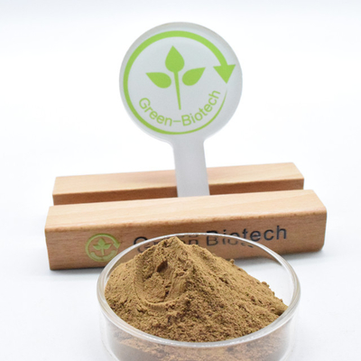 Dendrobium Extract Crude Medicines Raw Material Dendrobium Officinale Extract Powder