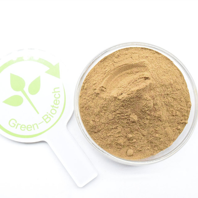 Hot Selling 10:1 Organic Dendrobium Officinale Extract Powder