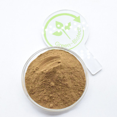 Bulk Brown Fine Powder 10:1 5:1 20:1 Dendrobium Officinale Extract