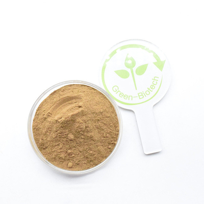 Manufacturer Direct Supply Yellow Brown Dendrobium Extract Powder