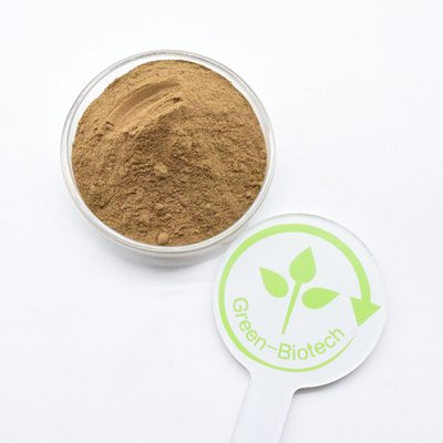 Bulk Pure Natural Yellow Brown Dendrobium Extract Powder 5:1 10:1