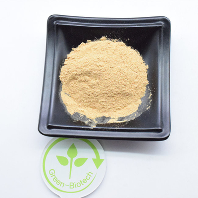 Sports Nutrition Supplement Beta Ecdysterone Powder Herbal Extract