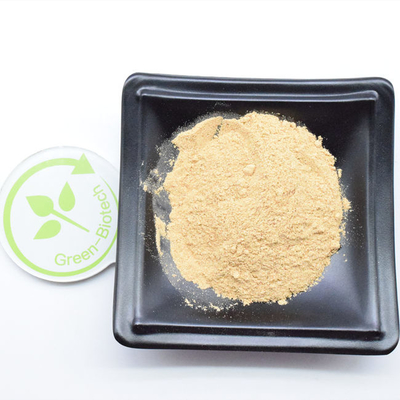 High Quality Yellow Brown Beta Ecdysterone Cyanotis Arachnoidea Extract 90%
