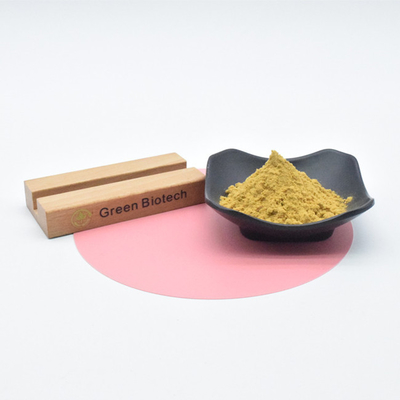 Plant Extract Powder Health Care Hot Sale Bulk Natural Tongkat Ali Extract Powder