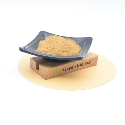 Plant Extract Maca Root Extract Powder Men Energy Enhance Supplement