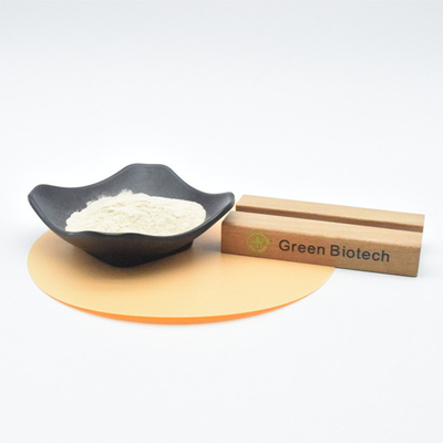 Manufacturer of High Quality Bulk 100% Pure Garlic Extract Powder Allicin