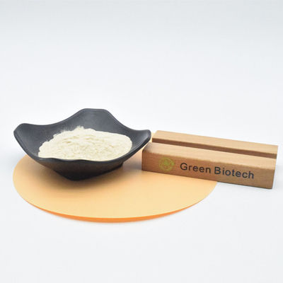 Manufacturer of High Quality Bulk 100% Pure Garlic Extract Powder Allicin
