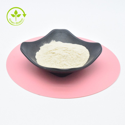 Factory Supply Plant Extract Powder High Quality Garlic Extract Powder Allicin 1%