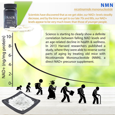 Cellular Repair White Fine Pure NMN Powder 25kg 99% Anti Aging