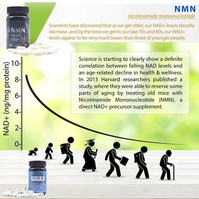 Longevity 600mg Pure Nmn Supplement Capsule Energy Increasing