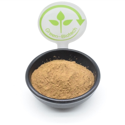 Body Building Ajuga Turkestanica Extract Powder Plant Extract Powder 500mg 750mg 1000mg