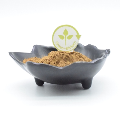 Body Building Ajuga Turkestanica Extract Powder Plant Extract Powder 500mg 750mg 1000mg