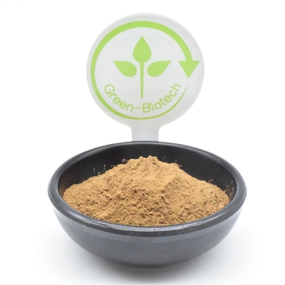 HACCP Plant Extract Powder Ajuga Turkestanica 2% Turkesterone Fat Loss