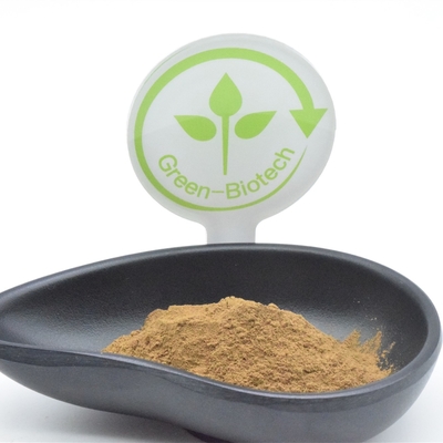 HACCP Plant Extract Powder Ajuga Turkestanica 2% Turkesterone Fat Loss
