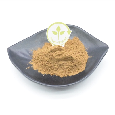 10% Turkesterone Plant Extract Powder