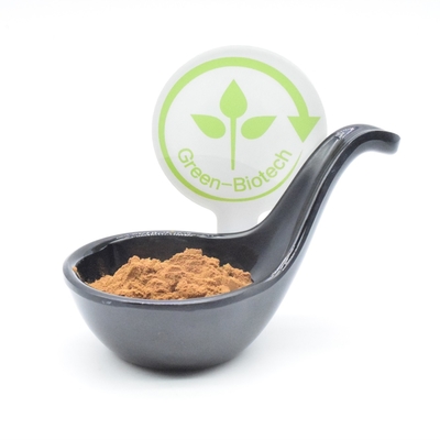 Sports Supplements Ajuga turkest extract bodybuilding 2% 250mg 350mg 500mg