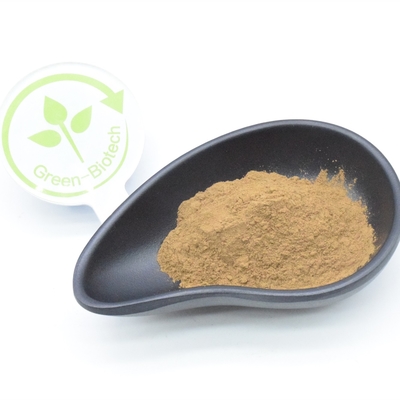 2% Turkesterone Natural Plant Extract Powder Anti Fungal Effective Diuretic